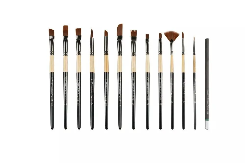 Giorgione Professional Artist Paint Brushes Set Set of 12