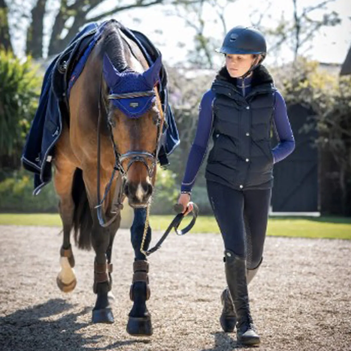 LeMieux Loire Fly Hood