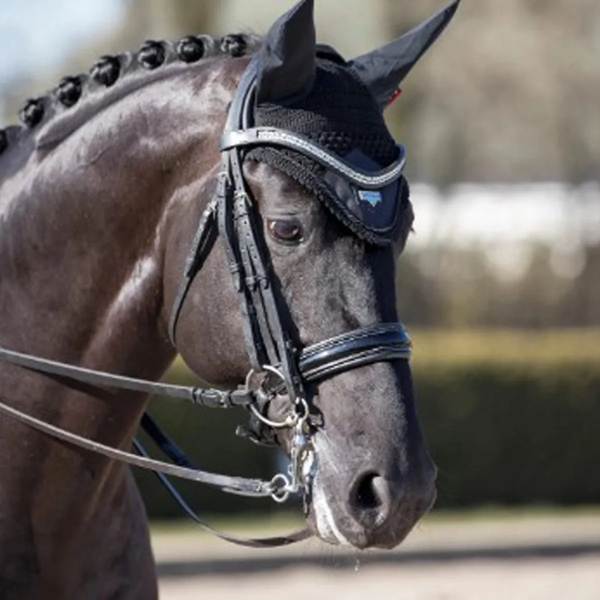 LeMieux Loire Fly Hood