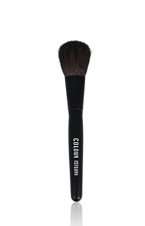 PROFESSIONAL MAKEUP BRUSH