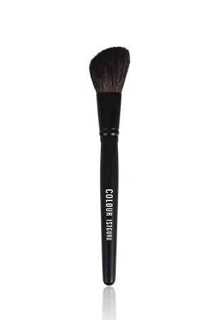 PROFESSIONAL MAKEUP BRUSH